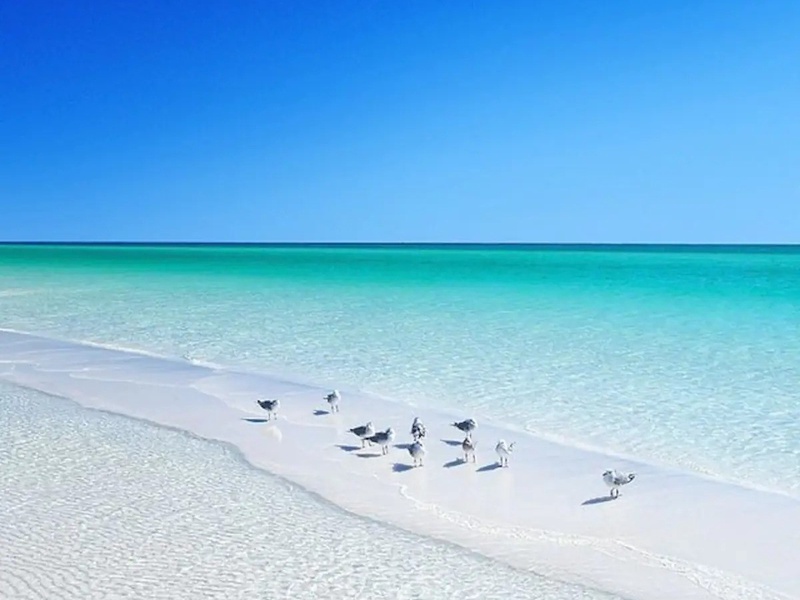 White sand beach in Miramar Beach FL